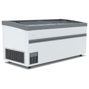 Морозильная бонета FROSTOR F 2100 ВЕ серый (с корзинами)